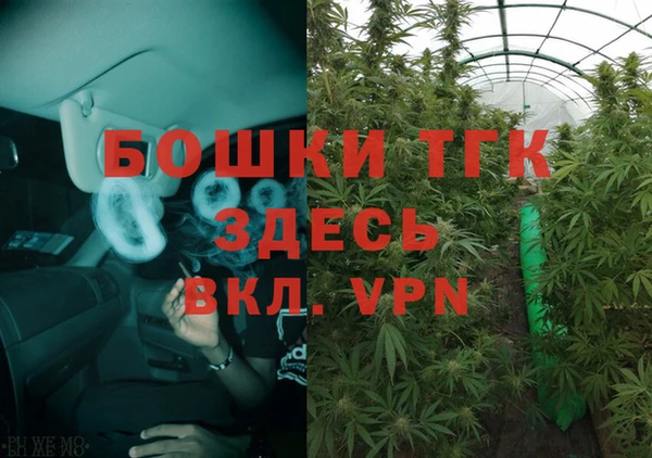 дурь Алексин