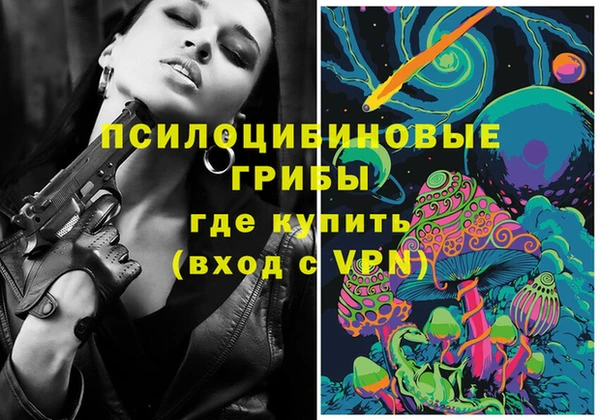 дурь Заводоуковск