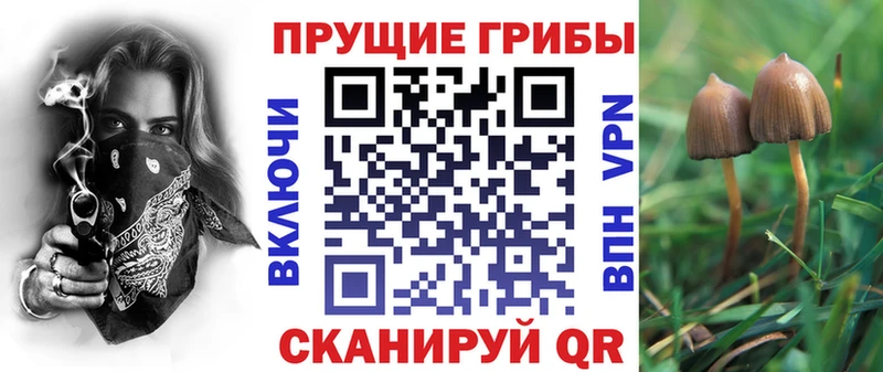 Псилоцибиновые грибы прущие грибы Миньяр