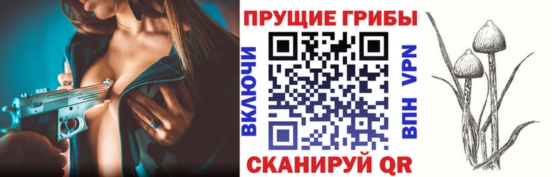 Галлюциногенные грибы Psilocybine cubensis  купить наркотики цена  Миньяр 